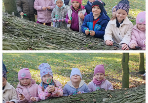 Dzieci obserwują owady w korze.