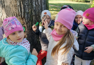 Dzieci szukają owadów w korze drzew.