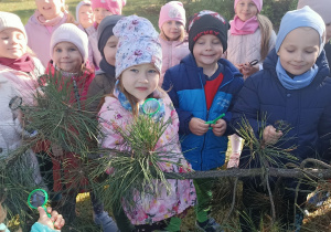 Dzieci porównują długość igieł drzew za pomocą lupy.