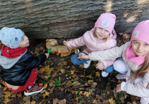 Zuzia, Antek i Hania oglądają hubę drzew.