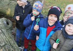 Chłopcy obserwują ukryte biedronki w korze drzew.