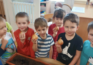 Dzieci prezentują cebule.