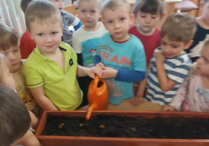 Dzieci podlewają wsadzone do ziemi cebulki.