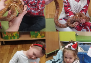 Zdjęcie 19 na 23