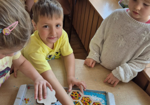Zdjęcie 14 na 26