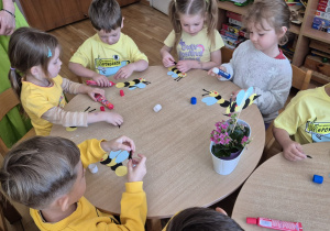 Zdjęcie 15 na 26