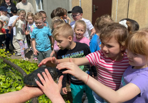 Zdjęcie 6 na 13