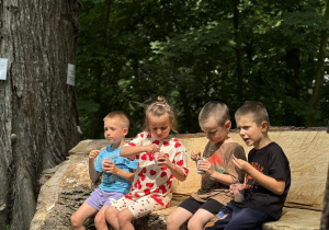 Lody dla ochłody.