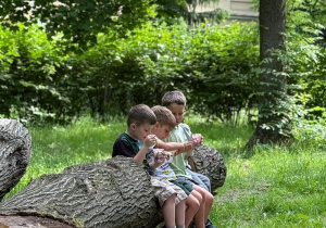 Lody dla ochłody.