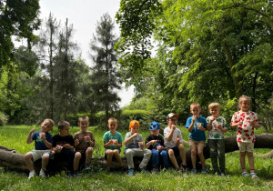 Lody dla ochłody.
