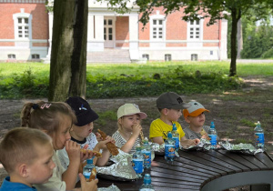 Grupa czerwona podczas pobytu w Gołuchowie.