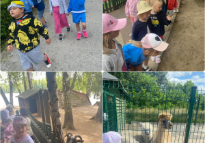 Wycieczka do Rodzinnego Parku Rozrywki „Górecznik”