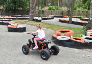 Zdjęcie 11 na 80