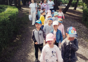 Zdjęcie 80 na 80