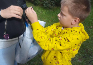 Zdjęcie 1 na 66
