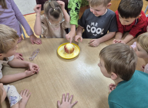 Zajęcia przyrodnicze