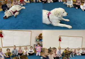 Wizyta Pani Darii z pieskami