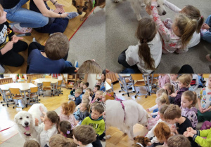 Wizyta Pani Darii z pieskami