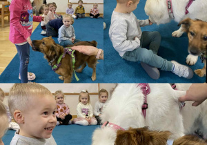 Wizyta Pani Darii z pieskami