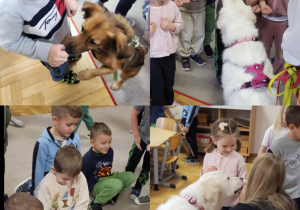 Wizyta Pani Darii z pieskami