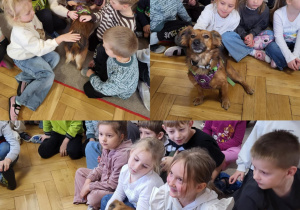 Wizyta Pani Darii z pieskami