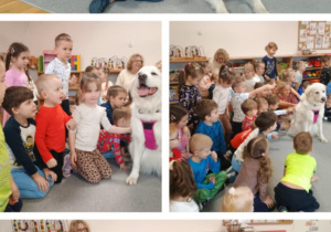 Wizyta Pani Darii z pieskami