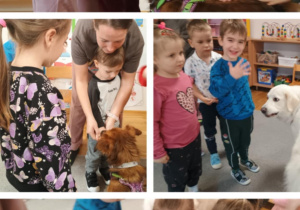 Wizyta Pani Darii z pieskami