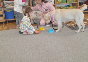 Spotkanie Przedszkolaków z psem w ramach dogoterapii.