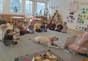 Spotkanie Przedszkolaków z psem w ramach dogoterapii.