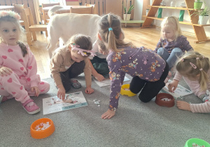 Spotkanie Przedszkolaków z psem w ramach dogoterapii.