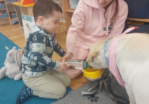 Spotkanie Przedszkolaków z psem