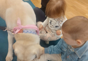 Spotkanie Przedszkolaków z psem