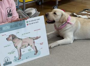 Dogoterapia w grupie Żółtej