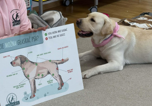 Dogoterapia w grupie Żółtej