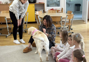 Dogoterapia w grupie Żółtej