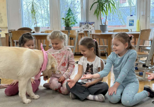 Dogoterapia w grupie Żółtej