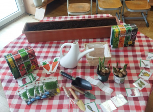 Zakładamy przedszkolny ogródek