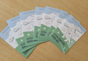 Program „Czyste powietrze wokół nas”