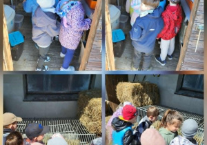 Zwiedzanie mini zoo.