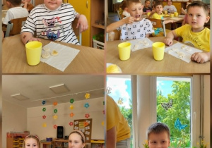 Degustacja miodów