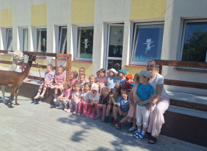 Alpaki w Przedszkolu