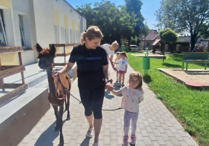Alpaki w Przedszkolu