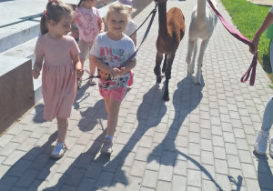 Alpaki w Przedszkolu