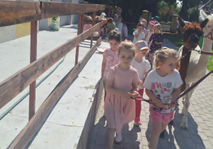 Alpaki w Przedszkolu