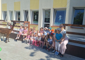 Alpaki w Przedszkolu