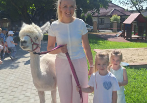 Alpaki w Przedszkolu