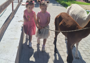 Alpaki w Przedszkolu