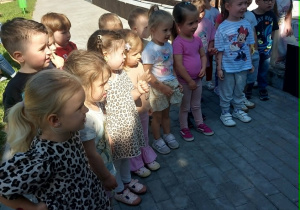 Alpaki w Przedszkolu