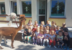 Alpaki w Przedszkolu