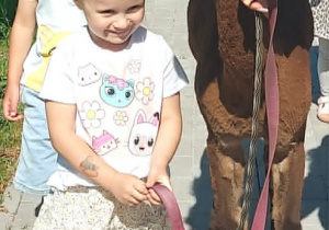 Alpaki w Przedszkolu
